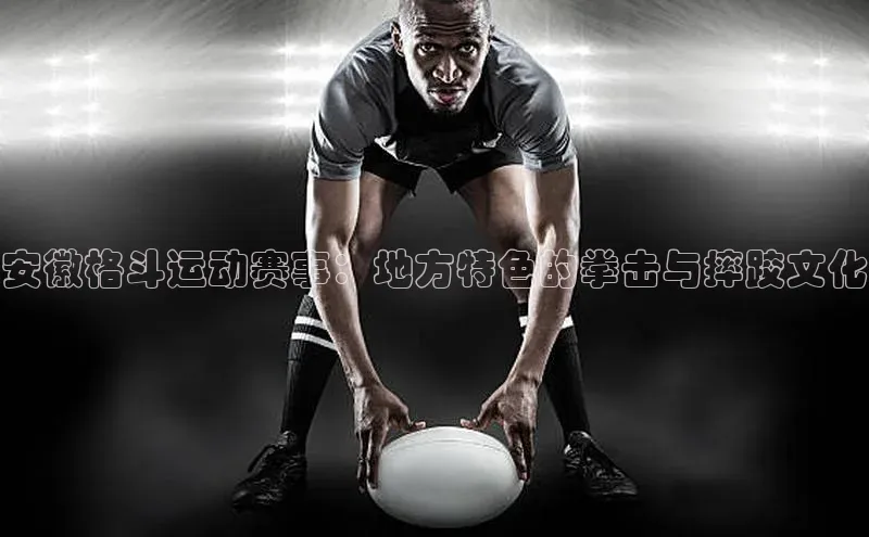 摩登注册赛富乐斯安徽格斗运动赛事：地方特色的拳击与摔跤文化