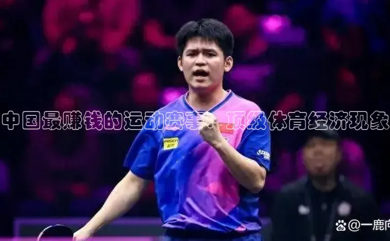 摩登7登录地址百度网盘企业版中国最赚钱的运动赛事：顶级体育经济现象