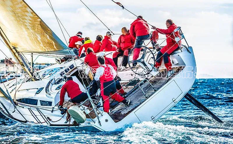 运动的盛宴：精彩赛事背后的激情与挑战