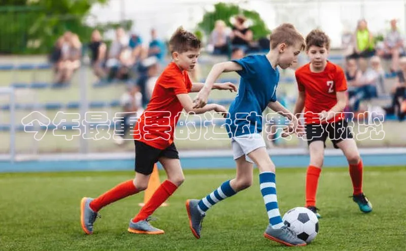 今年最重要的运动赛事概览