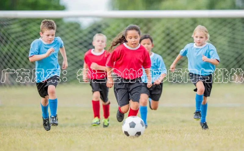 广东风采：省运会的精彩瞬间与挑战