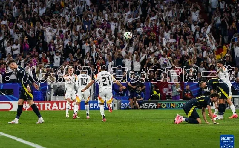 ：八大热门体育赛事官网一览