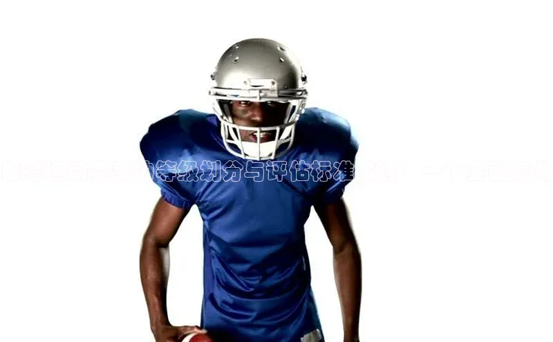 田径运动赛事的等级划分与评估标准探讨：一个全面视角