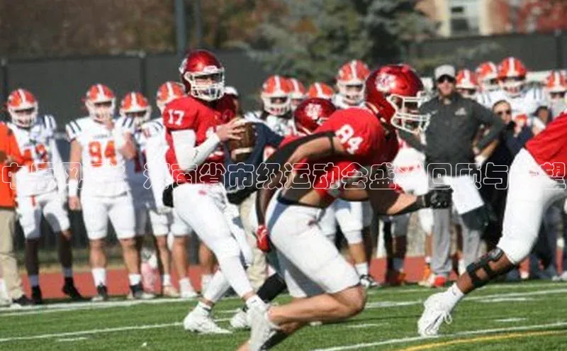 中原风采：河南省市级运动会盛况回顾与展望