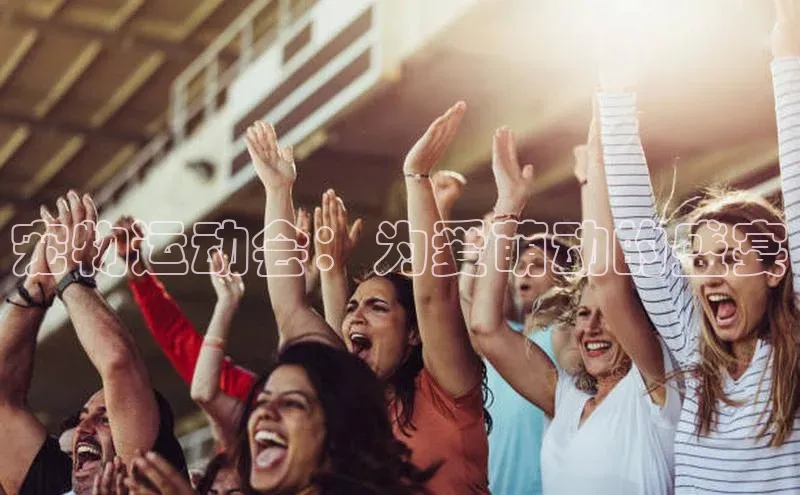 宠物运动会：为爱萌动的盛宴