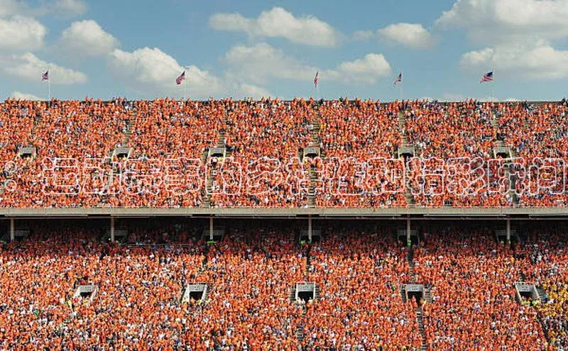 ：运动赛事的多样性和精彩瞬间