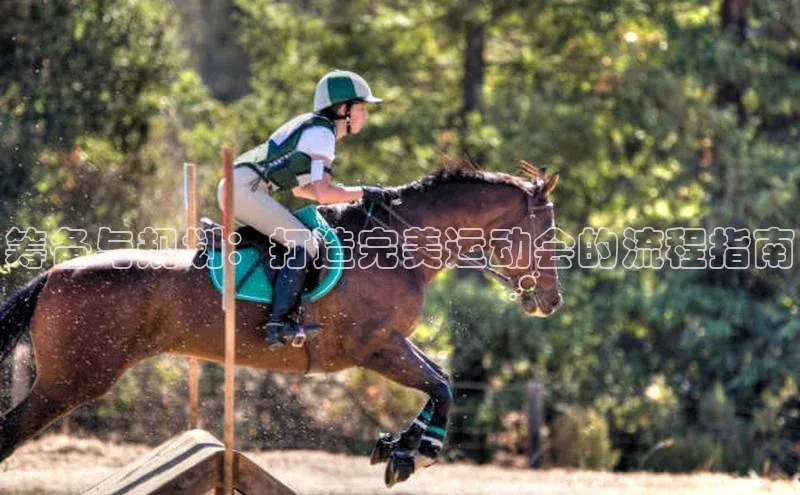 筹备与规划：打造完美运动会的流程指南