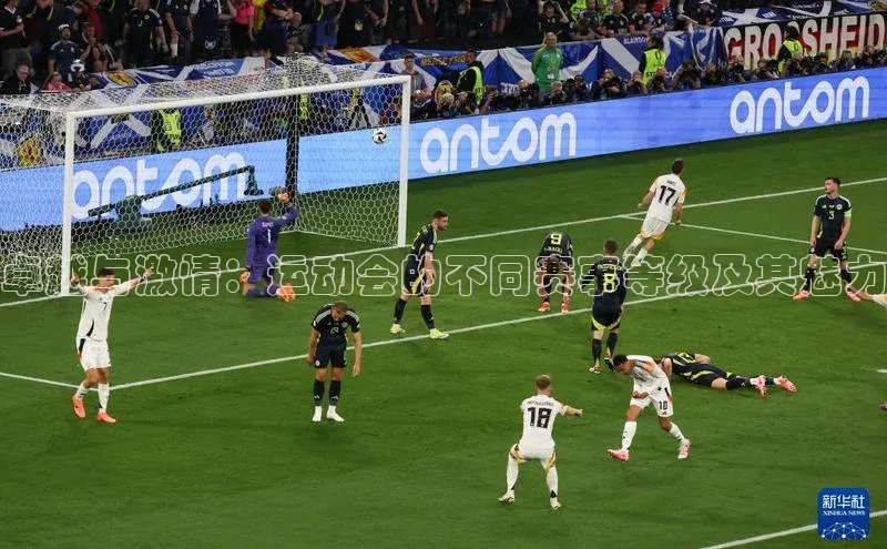 卓越与激情：运动会的不同赛事等级及其魅力