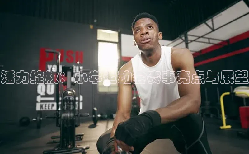活力绽放：小学运动会赛事亮点与展望