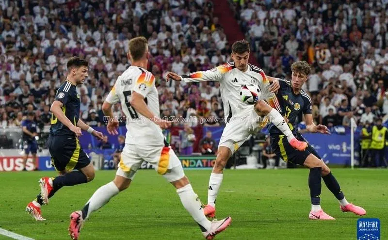 WatchingSports:AGlobalExperienceandReflection